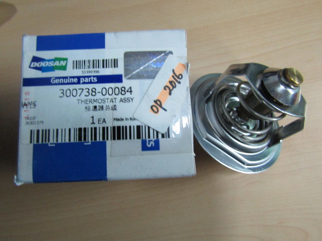 THERMOSTAT ASSY, 300738-00084